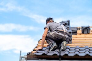 Professional Roof Inspection
